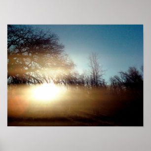 Poster Luminosité matinale