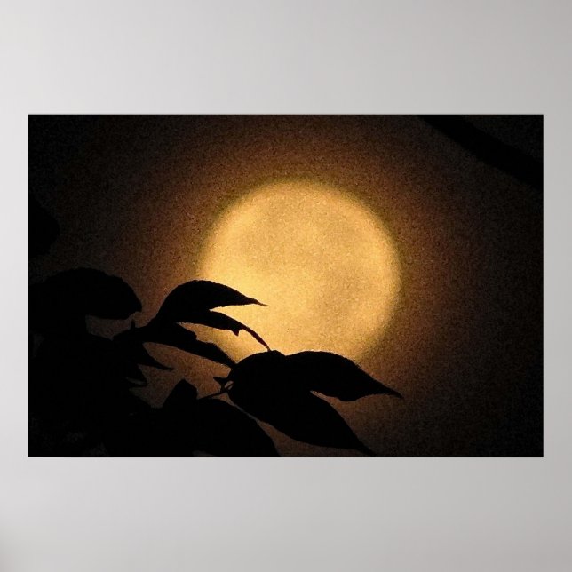 Poster Lune d'automne (Devant)
