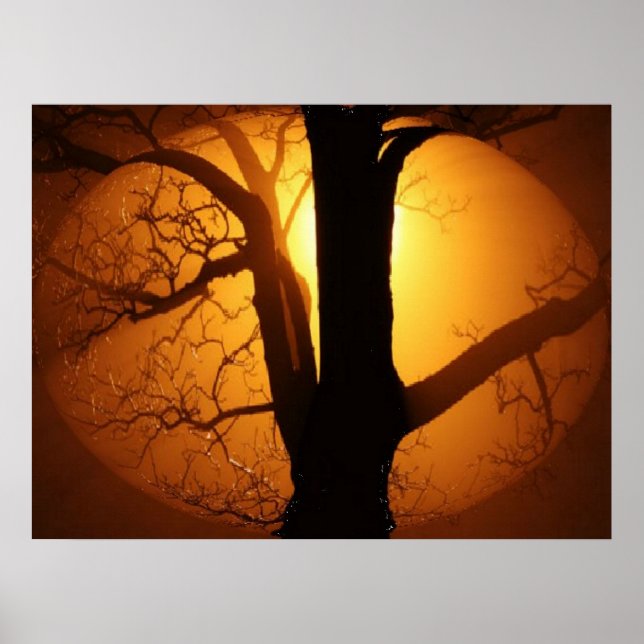 Poster Lune d'automne brillant à travers l'arbre Impressi (Devant)