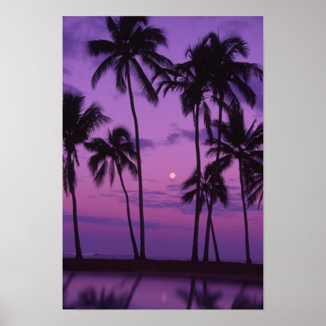 Poster Lune et palmier (Devant)