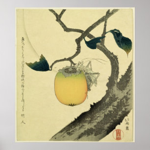 Poster Lune, kaki et sauterelle, 1807