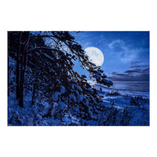 Poster Lune sur le sapin enneigé et la côte de la mer la