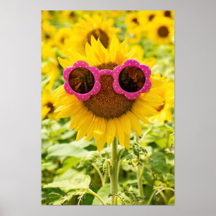Poster Lunettes De Soleil Sur Tournesol
