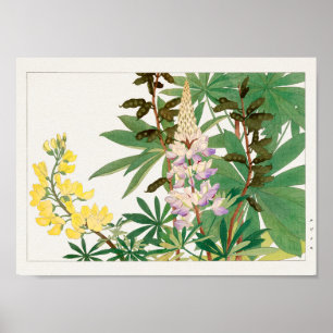 Poster Lupine par Tanigami Konan
