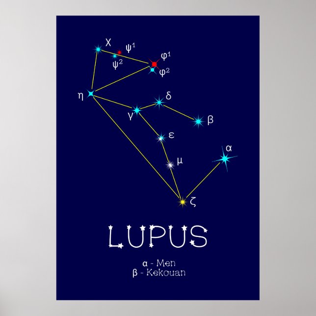 Poster Lupus de constellation de l'hémisphère sud (Devant)