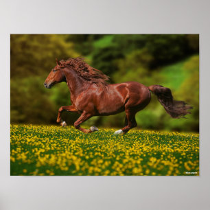 Poster Lusitano De Châtaignes Courant En Coupes De Beurr