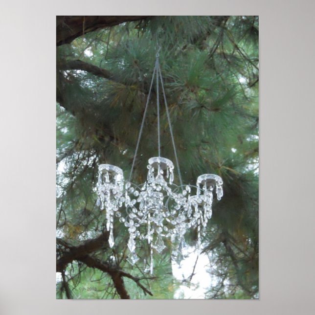Poster Lustre de Mariage campagnard extérieur dans les pi (Devant)