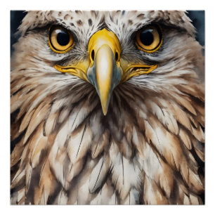 Poster lustré Hawk no 5