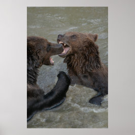 Poster Lutte contre l'ours