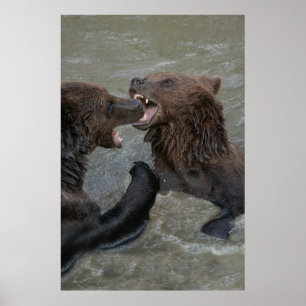 Poster Lutte contre l'ours