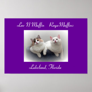 Poster Luv N Muffin RagaMuffin Chats & Chatons
