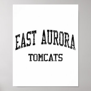 Poster Lycée East Aurora Hs Aurora Il Vintage Srts