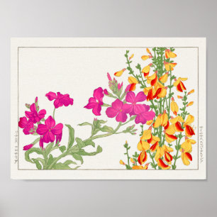 Poster Lychnis coronaria, Cytisus par Tanigami Konan