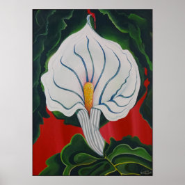Poster Lys blancs