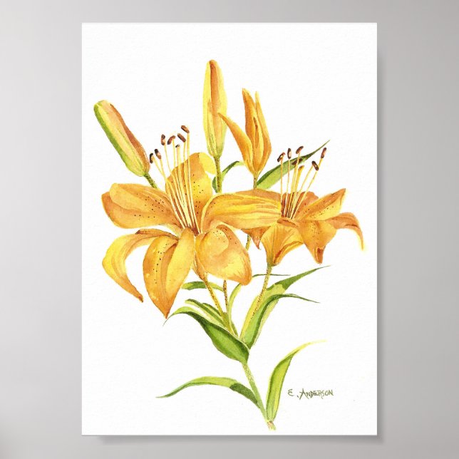 Poster Lys de tigre en or et aquarelle jaune (Devant)