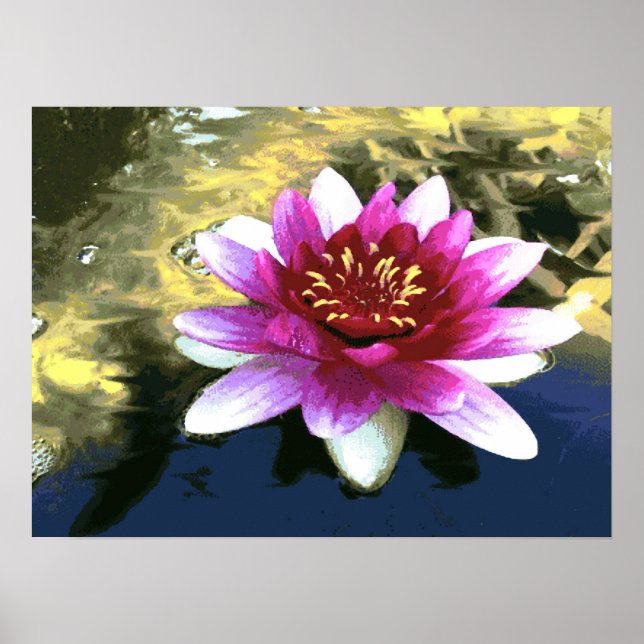 Poster Lys d'eau (Devant)