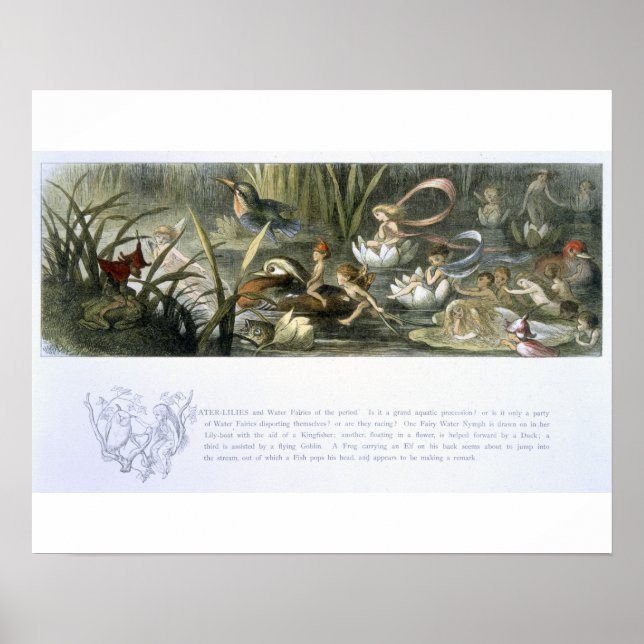 Poster Lys d'eau et fées d'eau, illustration de (Devant)