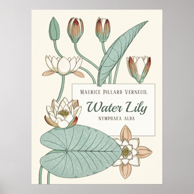 Poster Lys d'eau Verneuil Fleurs Art Nouveau décoratives (Devant)