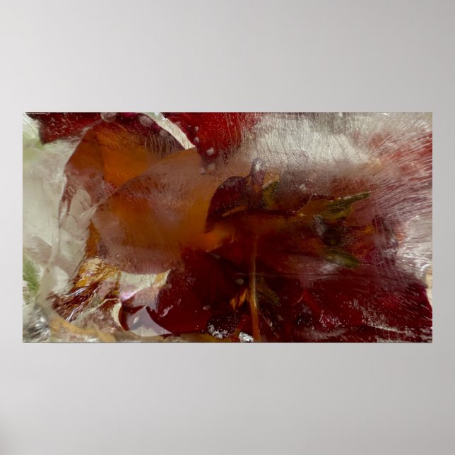 Poster Lys glacés, (Devant)