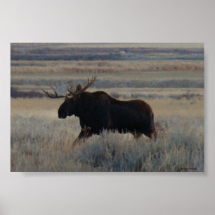 Poster M2 Bull Moose