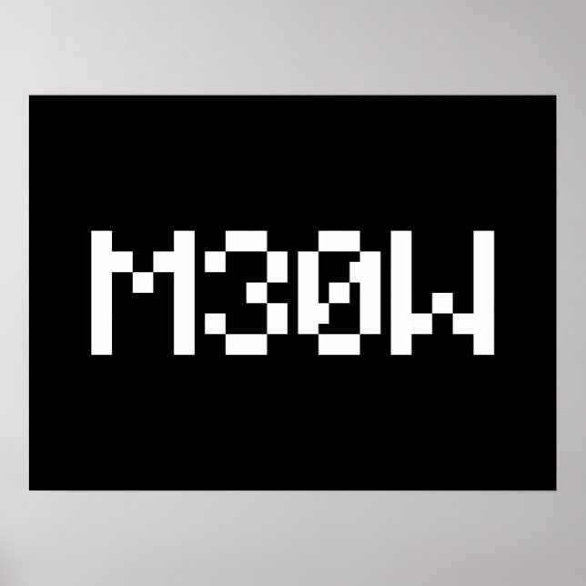 Poster M30W [Sons animaux de léopards] (Devant)