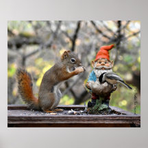 M. Bickles L'affiche de l'écureuil