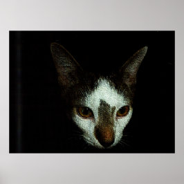 Poster M. Bud au repos