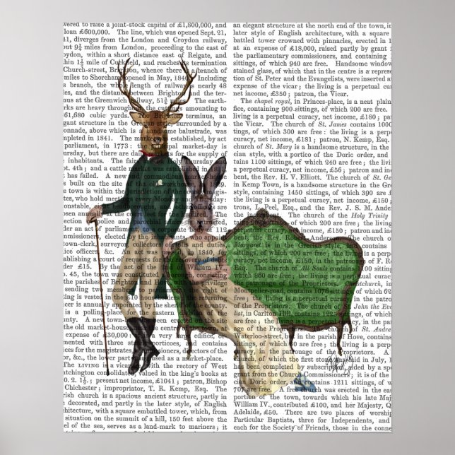 Poster M. Deer et Mme Rabbit (Devant)