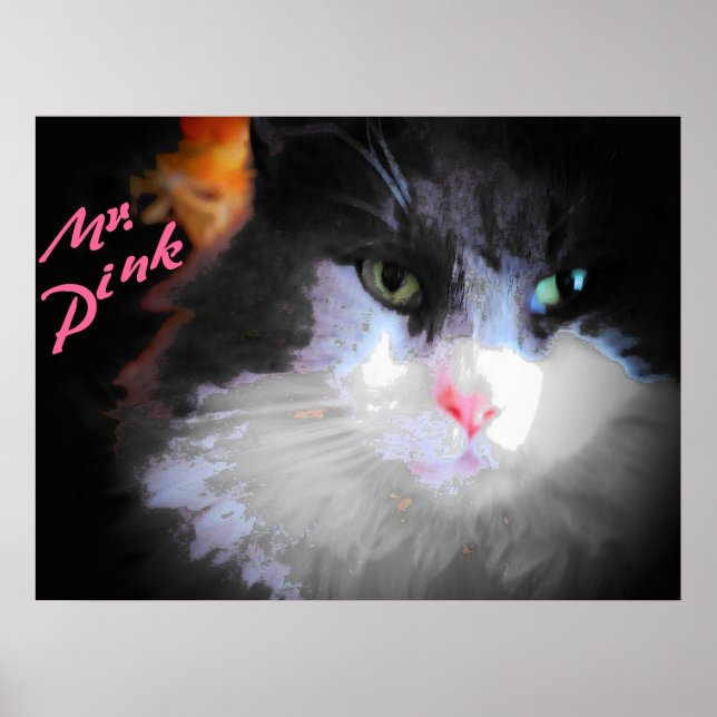 Poster M. Pink par djoneill (Devant)