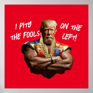 Poster M. Trump - Je plains les imbéciles à gauche !