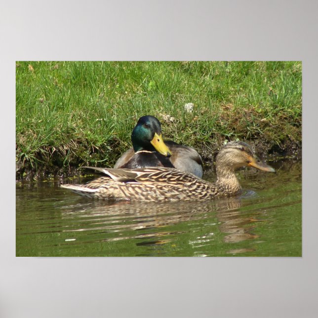 Poster Ma belle fille (Devant)