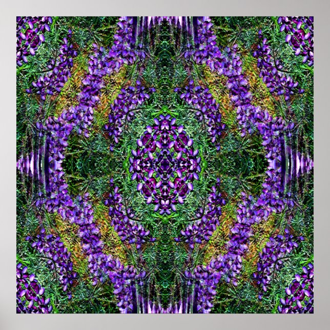 Poster Ma roue de médecine... (Devant)