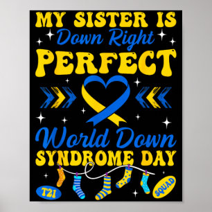 Poster Ma sœur est tout simplement un monde parfait Syndr