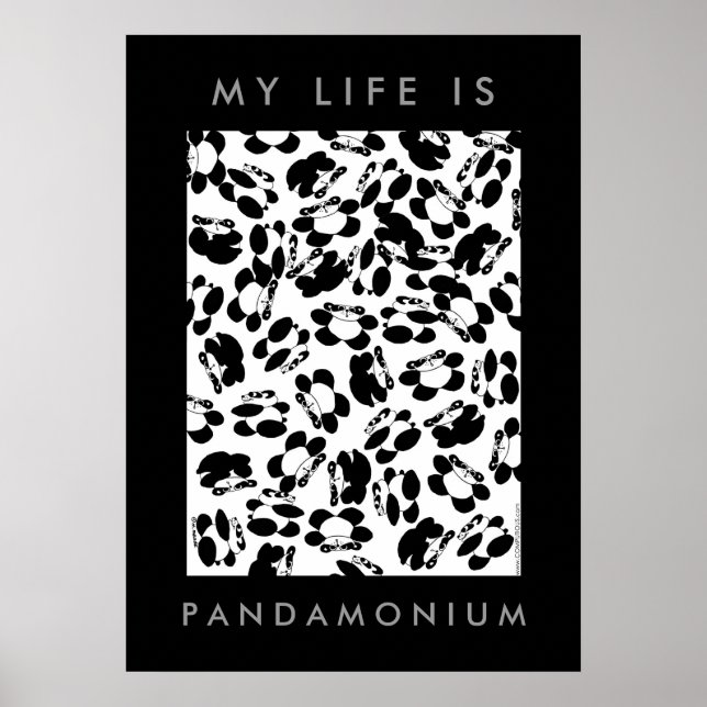 Poster Ma vie est panda-monium (Devant)