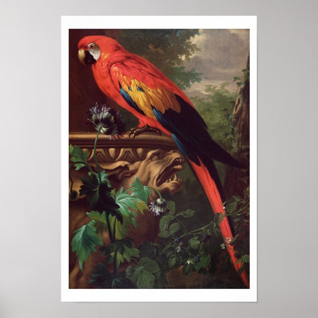 Poster Macao écarlate dans un paysage (huile sur toile) (Devant)