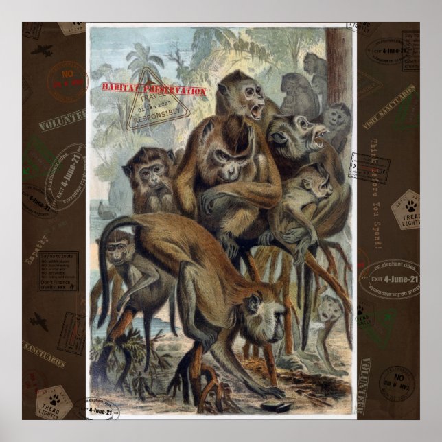 Poster Macaques pour un voyage responsable (Devant)