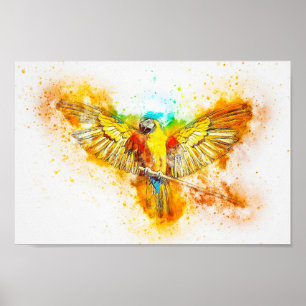 Poster Macaw