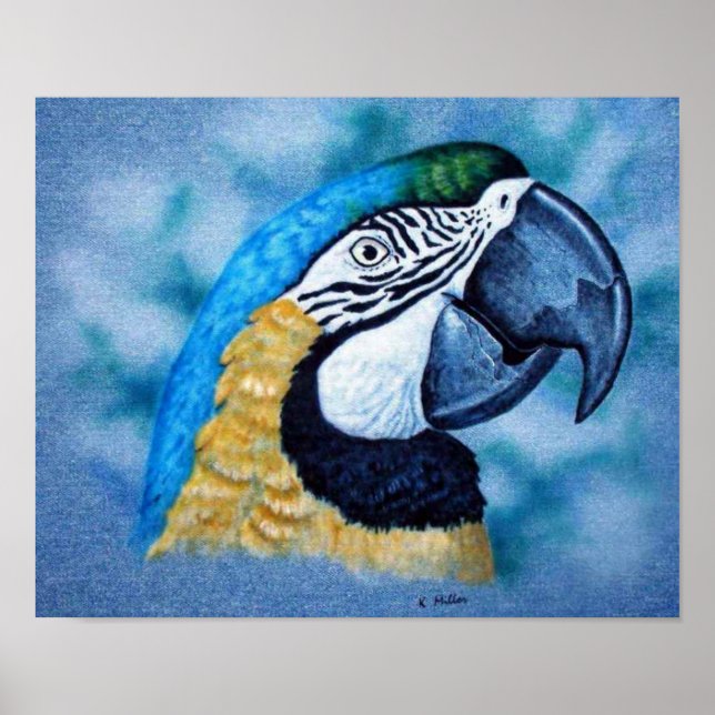 Poster Macaw (Devant)