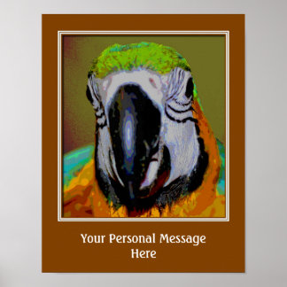 Poster Macaw Parrot Face Créer Votre Propre Citation