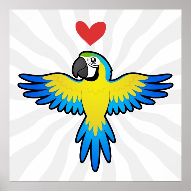 Poster Macaw / Parrot Love (Devant)