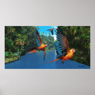 Poster Macaw rouge cubain 2 Imprimer