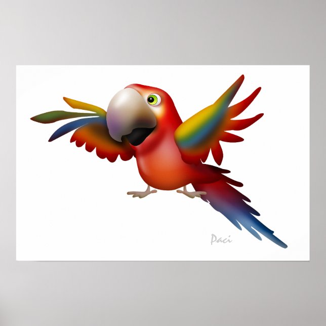 Poster Macaw - SRF (Devant)