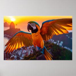 Poster Macaw sur l'affiche horizontale de Rio de Janeiro
