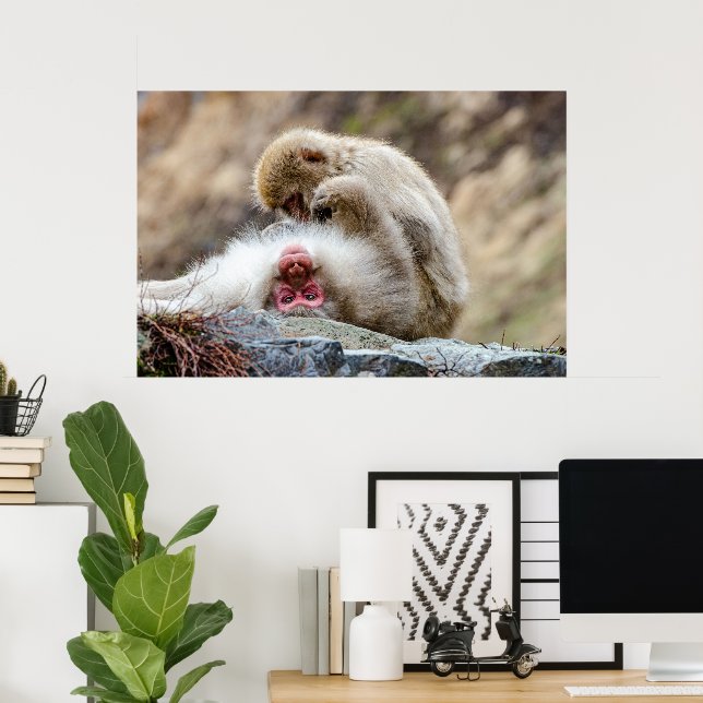 Poster Macque Monkey, La Bonne Vie (Bureau à domicile)