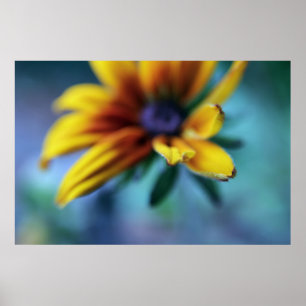 Poster Macro Abstrait à fleurs de Rudbeckia jaune