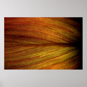 Poster Macro botanique feuille nature texture