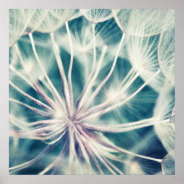 Poster Macro Dandalion Ethérée Bleue