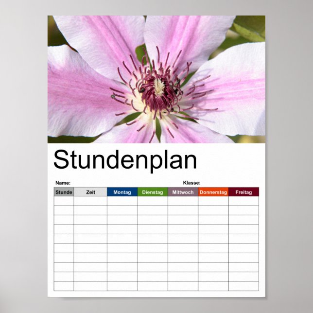 Poster Macro de Clematis blanc et violet (Devant)