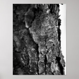 Poster Macro d'écorce d'arbre noir et blanc