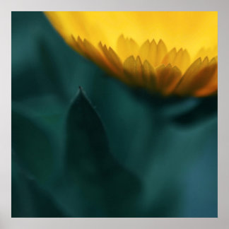 Poster Macro Fleur Mariglod Jaune Abstraite
